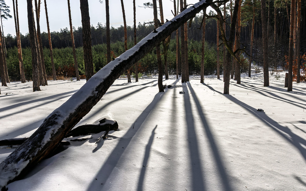 Фотографія Пейзаж / Андрій Макаренко / photographers.ua