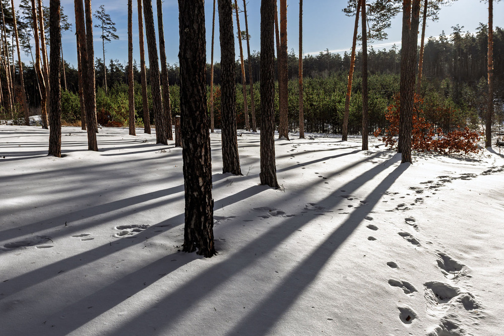 Фотографія Пейзаж / Андрій Макаренко / photographers.ua