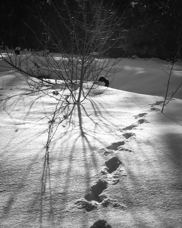 Фотографія Пейзаж / Андрій Макаренко / photographers.ua