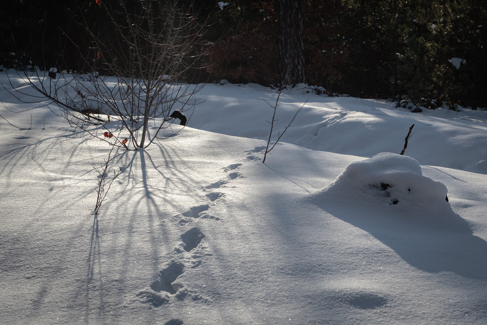 Фотографія Пейзаж / Андрій Макаренко / photographers.ua
