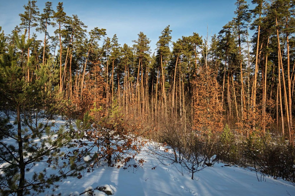 Фотографія Пейзаж / Андрій Макаренко / photographers.ua
