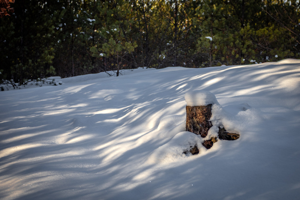 Фотографія Пейзаж / Андрій Макаренко / photographers.ua