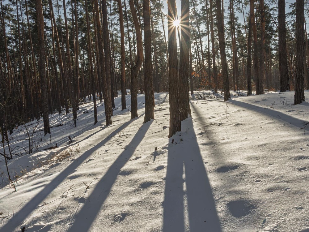 Фотографія Пейзаж / Андрій Макаренко / photographers.ua