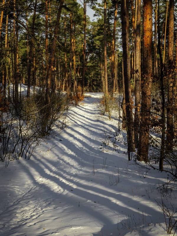 Фотографія Пейзаж / Андрій Макаренко / photographers.ua