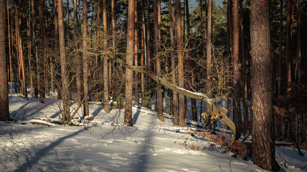 Фотографія Злам у системі / Андрій Макаренко / photographers.ua