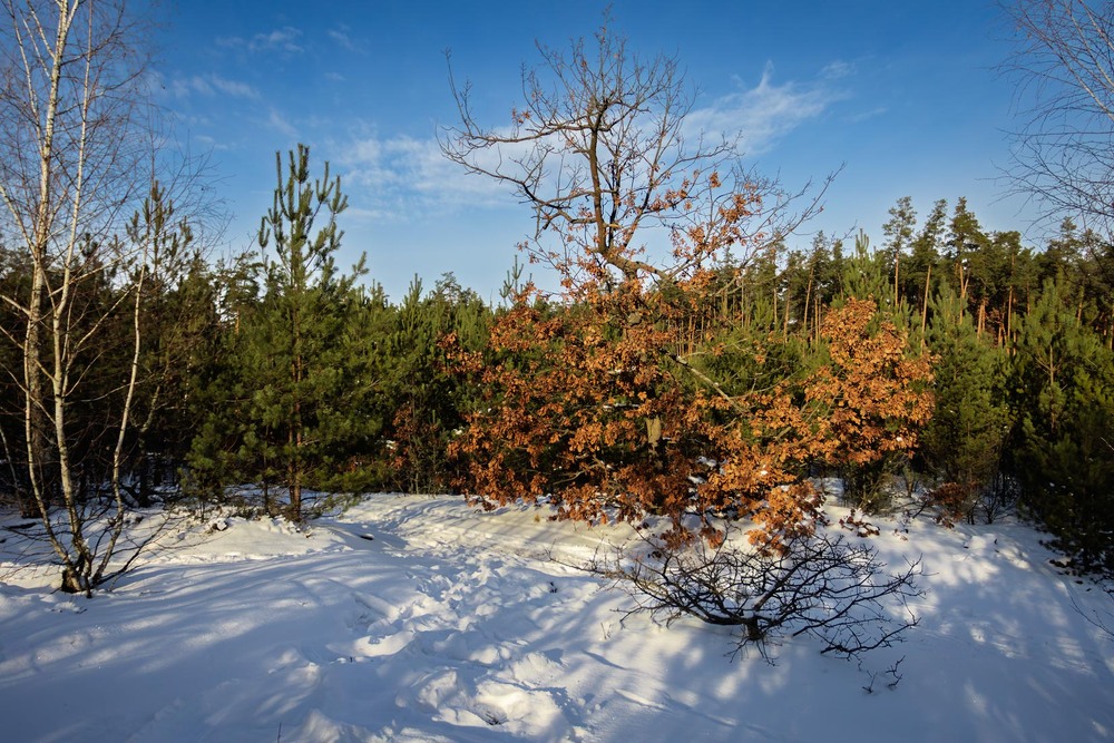 Фотографія Пейзаж / Андрій Макаренко / photographers.ua