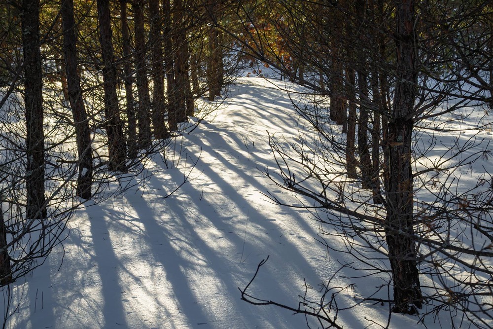 Фотографія Пейзаж / Андрій Макаренко / photographers.ua