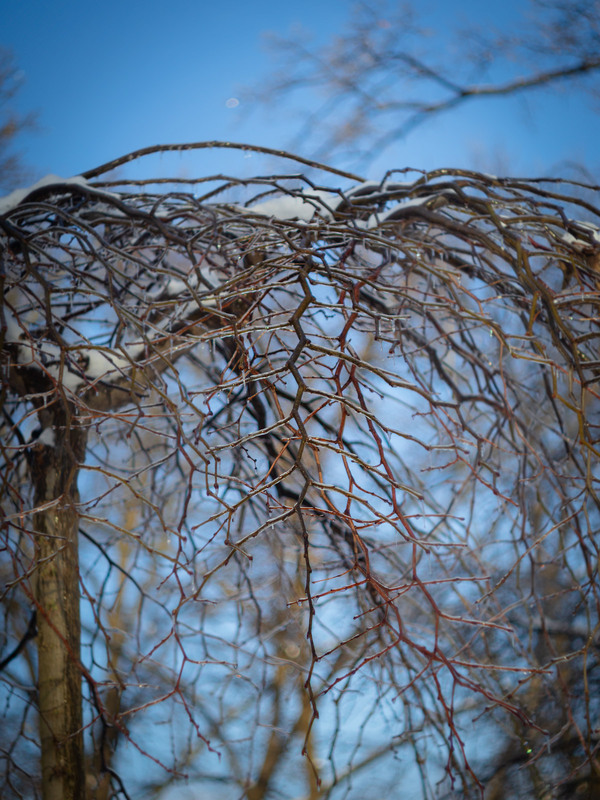 Фотографія Добірка: Зимові замальовки / Андрій Макаренко / photographers.ua