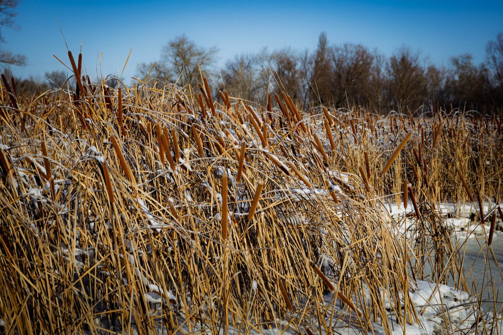 Фотографія Добірка: Зимові замальовки / Андрій Макаренко / photographers.ua
