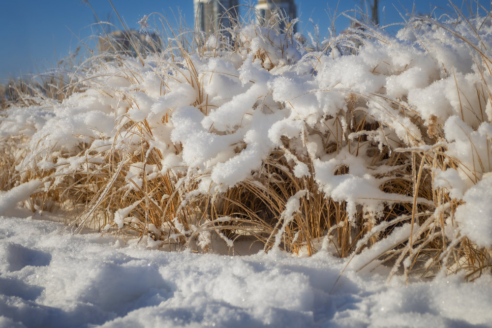 Фотографія Добірка: Зимові замальовки / Андрій Макаренко / photographers.ua