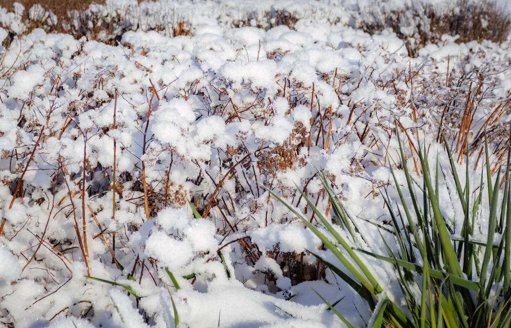 Фотографія Добірка: Зимові замальовки / Андрій Макаренко / photographers.ua