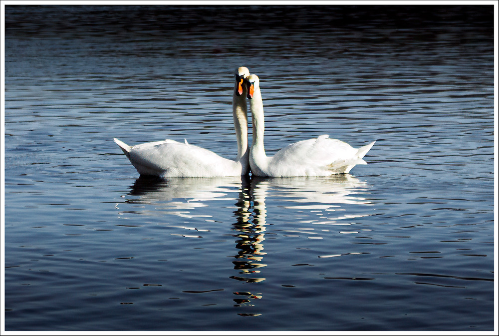 Фотографія Сімейний портрет / Андрій Макаренко / photographers.ua