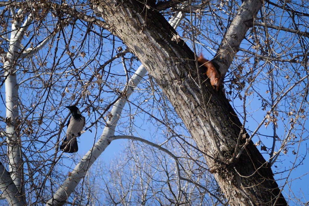 Фотографія Сусіди / Андрій Макаренко / photographers.ua