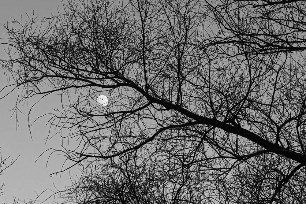 Фотографія Заплутався / Андрій Макаренко / photographers.ua