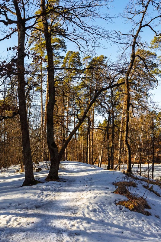 Фотографія Паркові прогулянки / Андрій Макаренко / photographers.ua