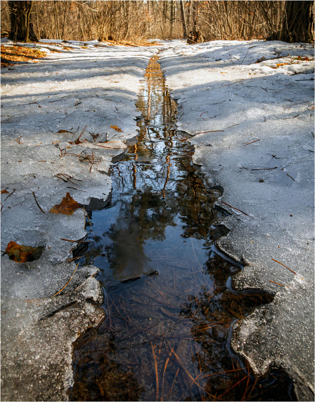 Фотографія Весна / Андрій Макаренко / photographers.ua