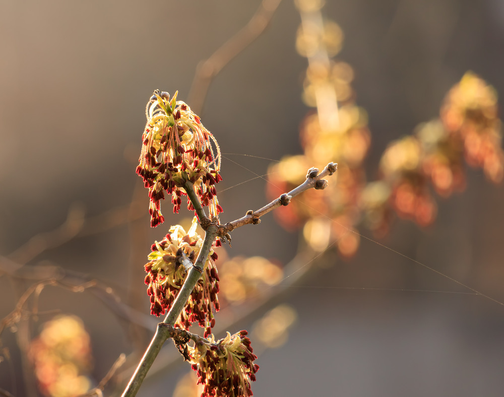 Фотографія Пейзаж / Андрій Макаренко / photographers.ua