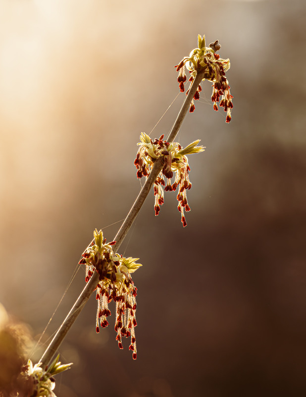 Фотографія Пейзаж / Андрій Макаренко / photographers.ua