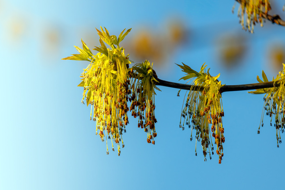 Фотографія Пейзаж / Андрій Макаренко / photographers.ua