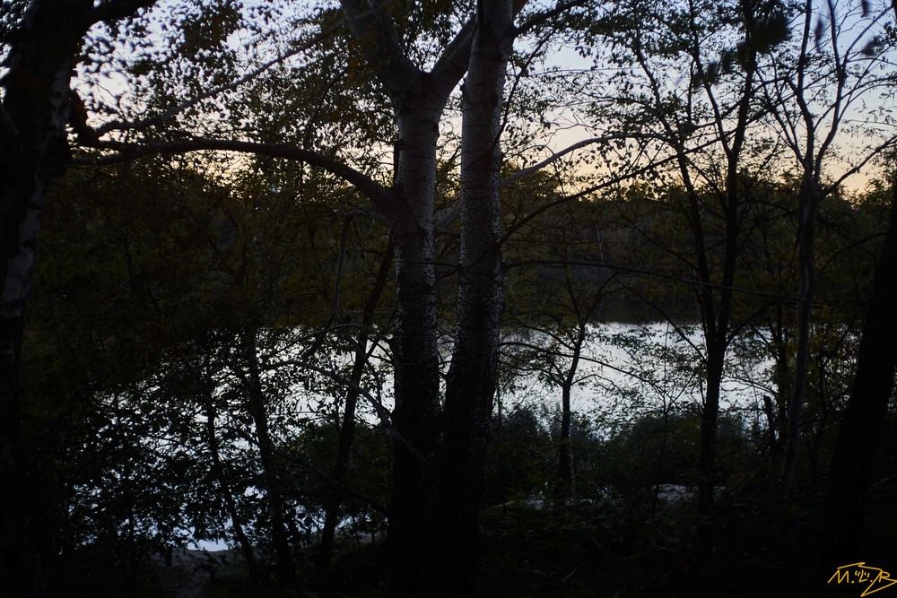 Фотографія Пейзаж / Михайло Рогач / photographers.ua