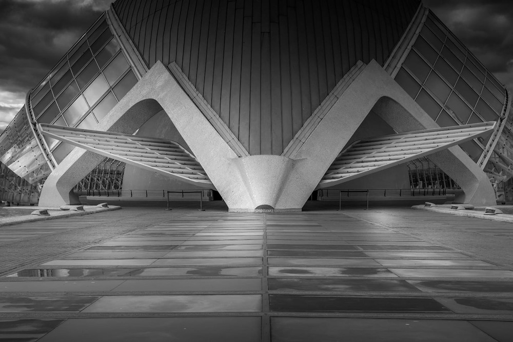 Фотографія Жук / Denys Dolnikov / photographers.ua