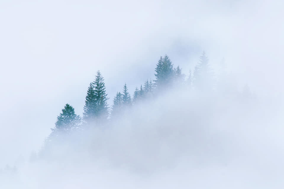 Фотографія вранішні замальовки / Denys Dolnikov / photographers.ua