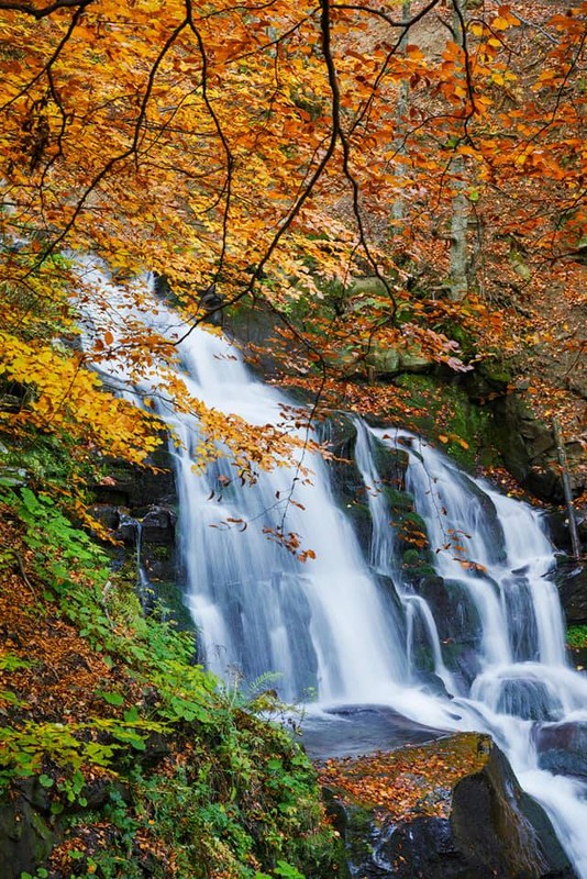 Фотографія Срібні струни / Denys Dolnikov / photographers.ua
