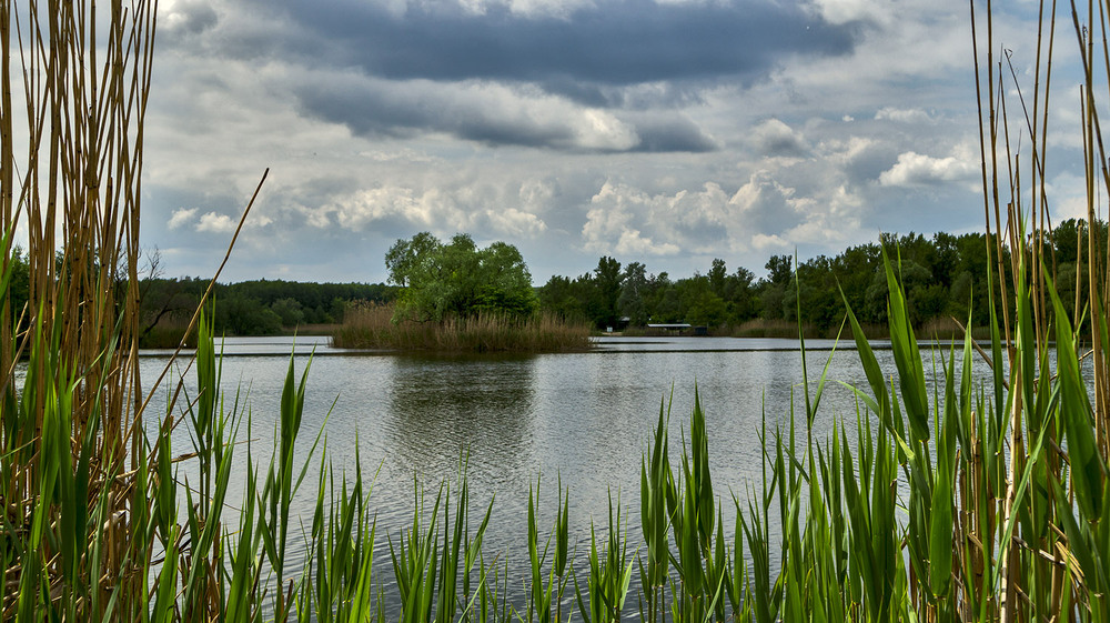 Фотографія *** / Сергій Кузьма / photographers.ua