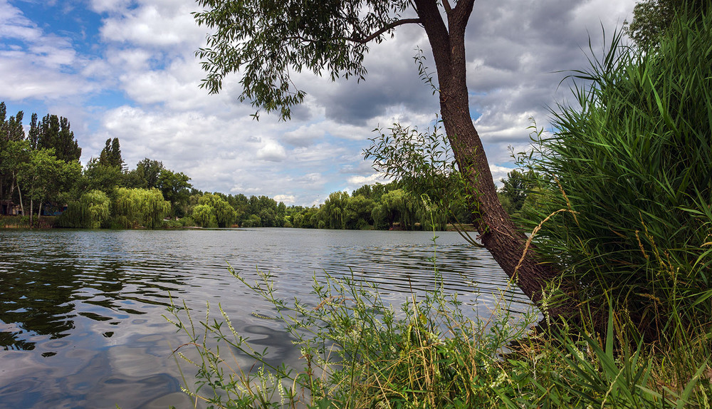 Фотографія *** / Сергій Кузьма / photographers.ua