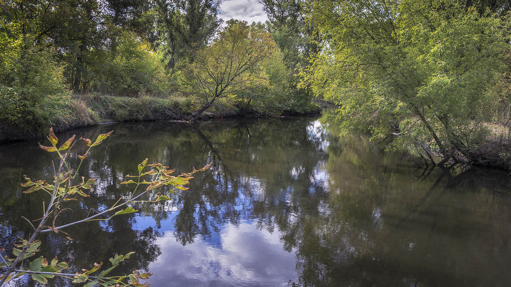 Фотографія *** / Сергій Кузьма / photographers.ua