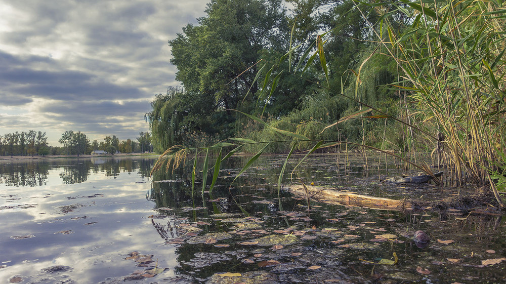 Фотографія *** / Сергій Кузьма / photographers.ua