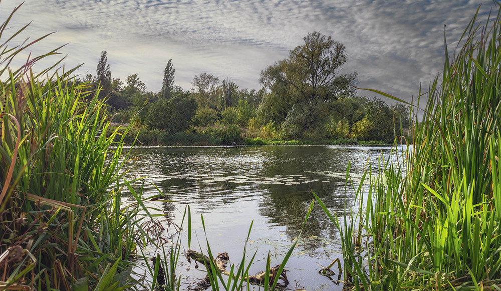 Фотографія *** / Сергій Кузьма / photographers.ua