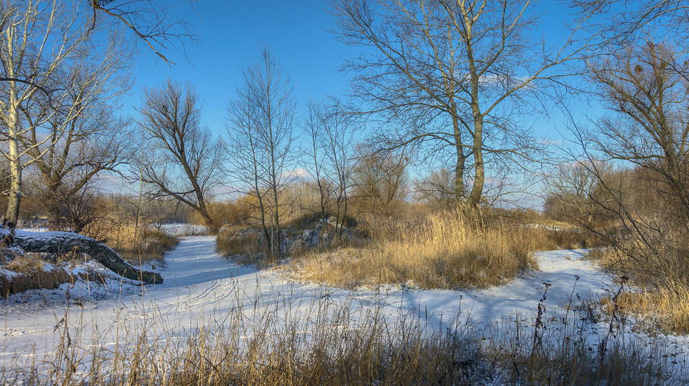 Фотографія *** / Сергій Кузьма / photographers.ua