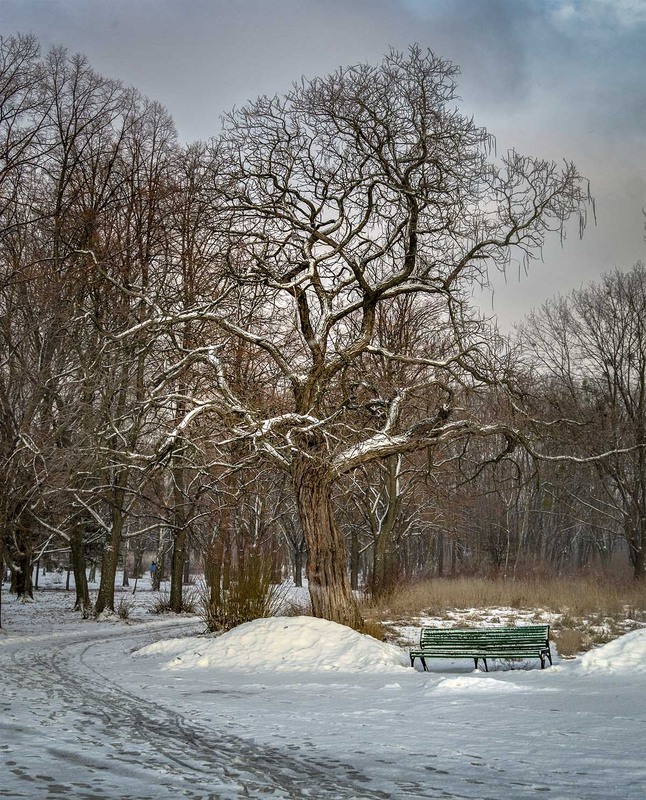 Фотографія *** / Сергій Кузьма / photographers.ua