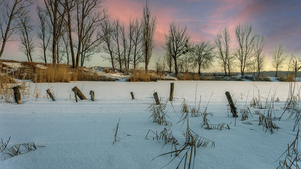 Фотографія *** / Сергій Кузьма / photographers.ua