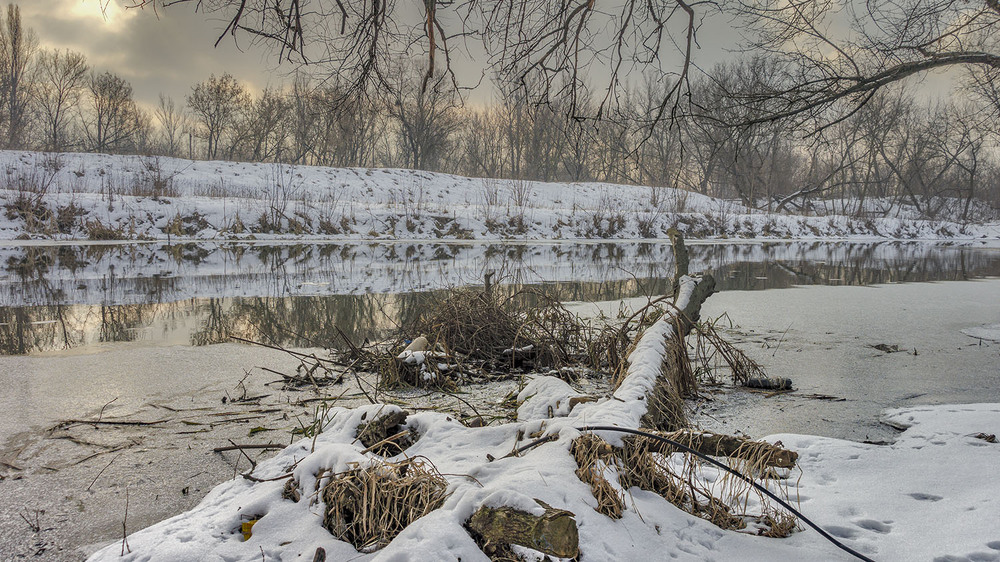 Фотографія *** / Сергій Кузьма / photographers.ua