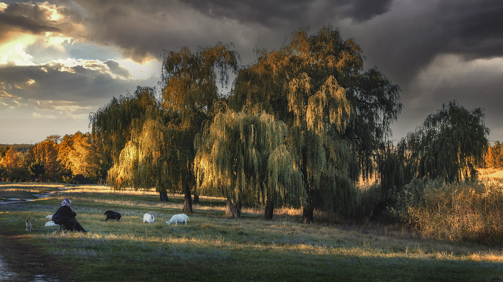 Фотографія *** / Сергій Кузьма / photographers.ua