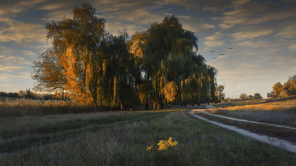 Фотографія *** / Сергій Кузьма / photographers.ua