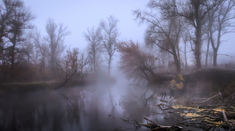 Фотографія *** / Сергій Кузьма / photographers.ua