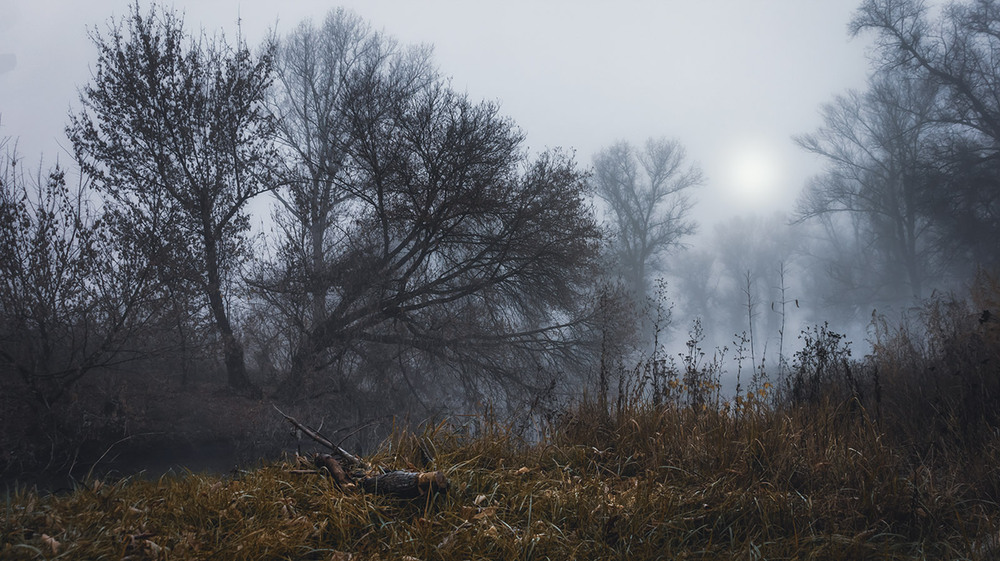 Фотографія *** / Сергій Кузьма / photographers.ua