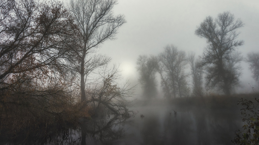 Фотографія *** / Сергій Кузьма / photographers.ua