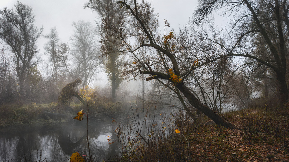 Фотографія *** / Сергій Кузьма / photographers.ua