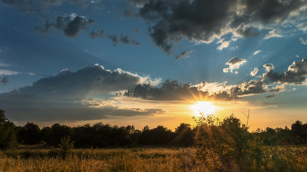Фотографія *** / Сергій Кузьма / photographers.ua