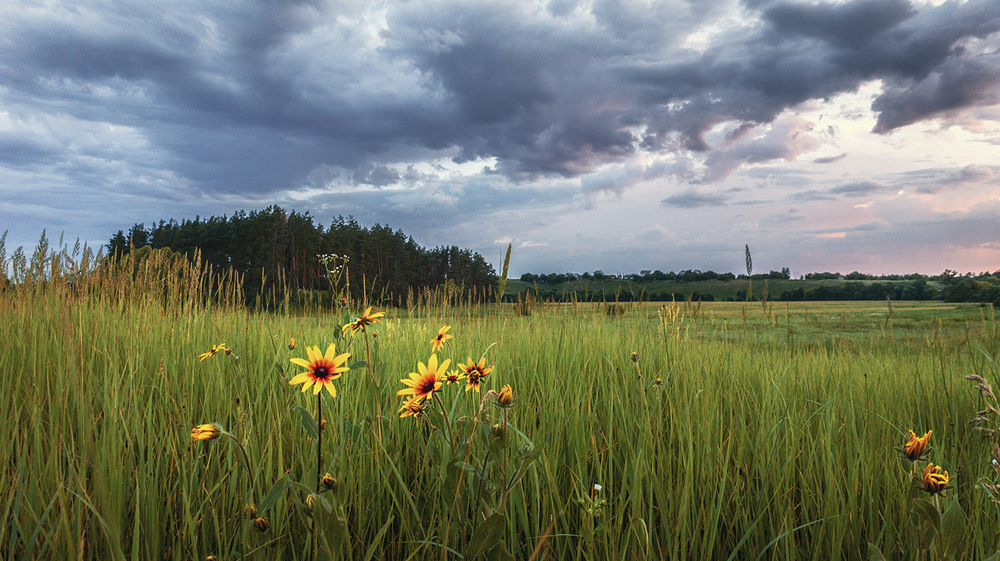 Фотографія *** / Сергій Кузьма / photographers.ua