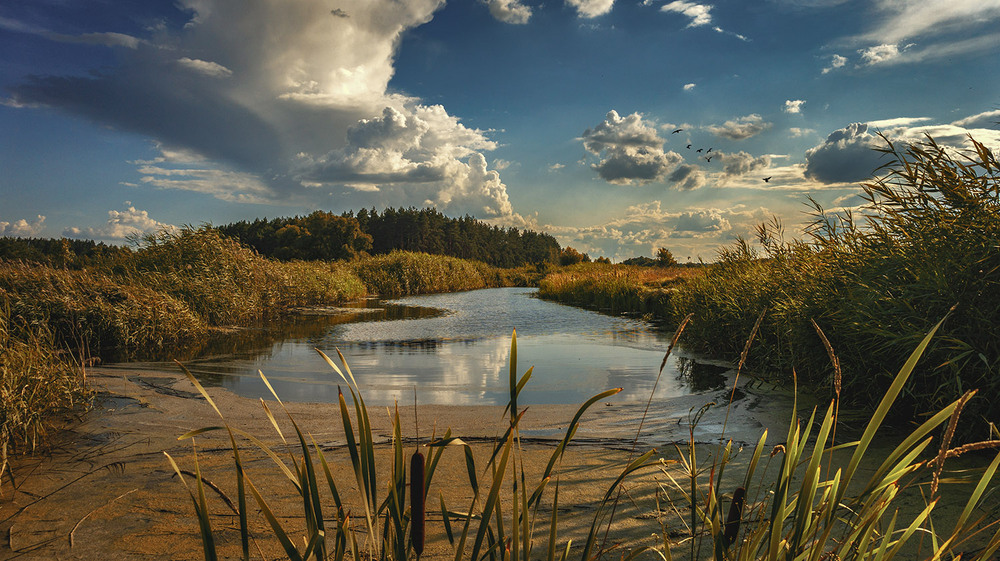 Фотографія *** / Сергій Кузьма / photographers.ua