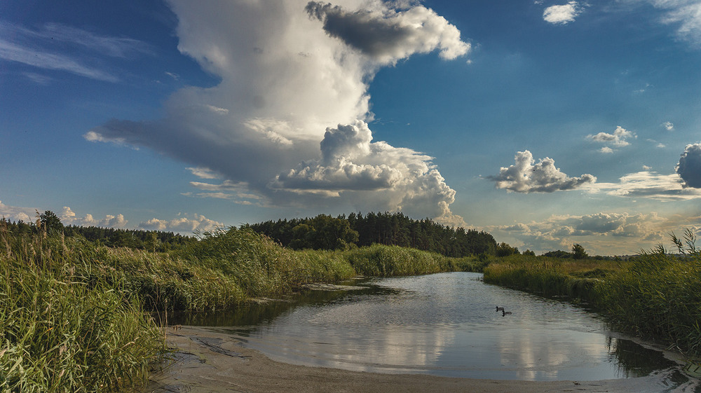 Фотографія *** / Сергій Кузьма / photographers.ua
