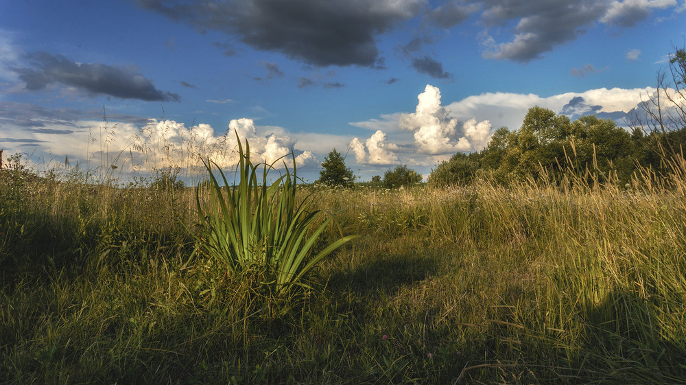 Фотографія *** / Сергій Кузьма / photographers.ua