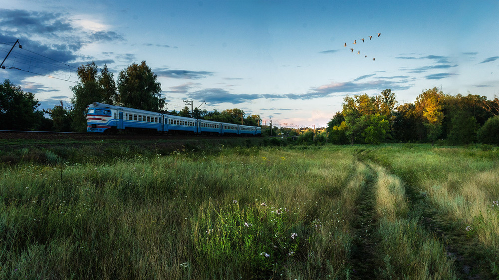 Фотографія У кожного свій шлях / Сергій Кузьма / photographers.ua