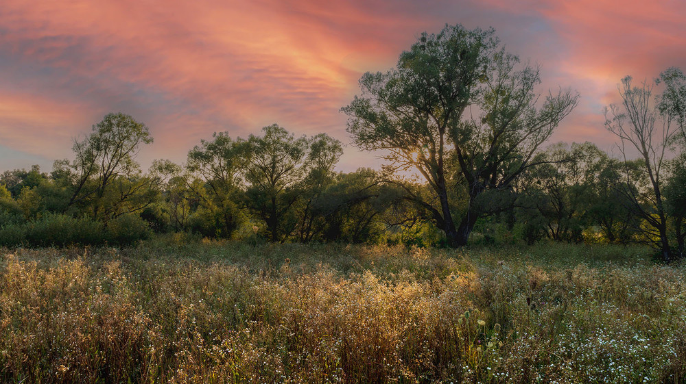 Фотографія *** / Сергій Кузьма / photographers.ua