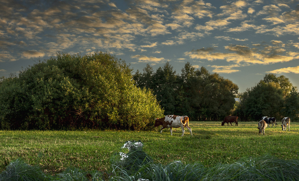 Фотографія *** / Сергій Кузьма / photographers.ua